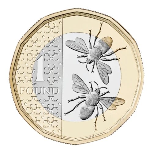 Two bees with wings fully extended one pound coin